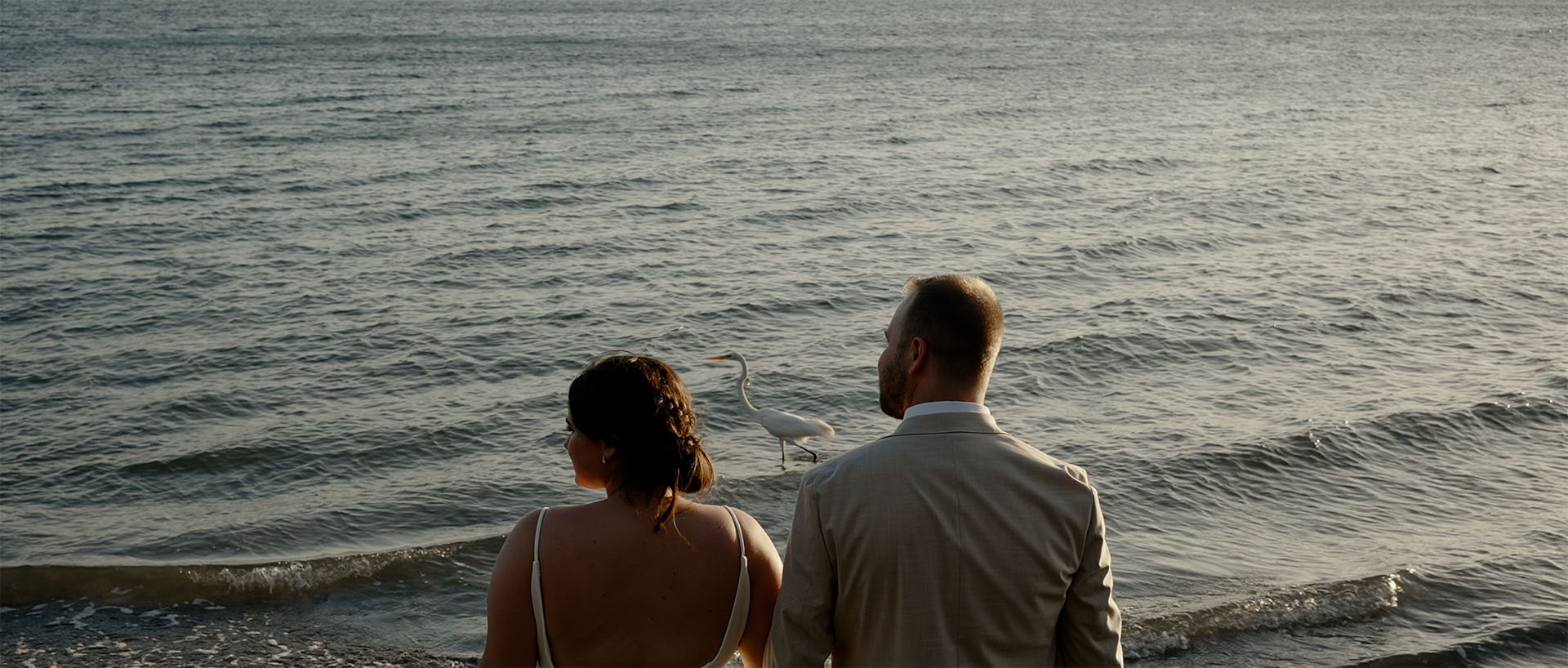 Bride and groom enjoying ocean view with heron nearby.